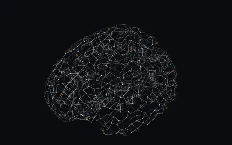 A human cortex drawn as points and lines, with 14 JAW AI services named on it